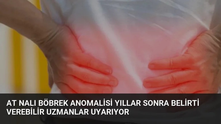 At Nalı Böbrek Anomalisi Yıllar Sonra Belirti Verebilir Uzmanlar Uyarıyor