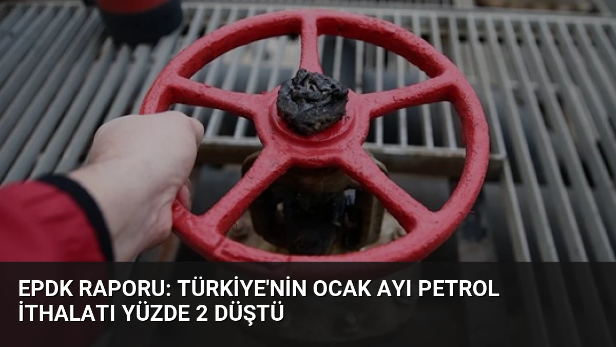 EPDK Raporu: Türkiye’nin Ocak Ayı Petrol İthalatı Yüzde 2 Düştü