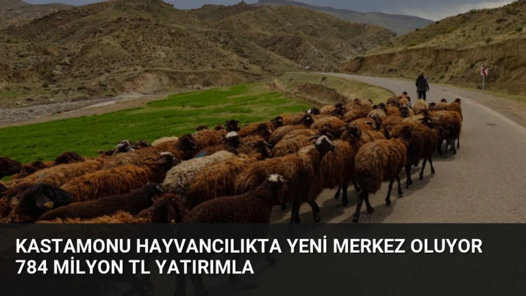 Kastamonu Hayvancılıkta Yeni Merkez Oluyor 784 Milyon TL Yatırımla