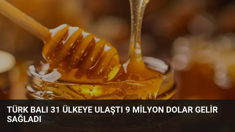Türk Balı 31 Ülkeye Ulaştı 9 Milyon Dolar Gelir Sağladı