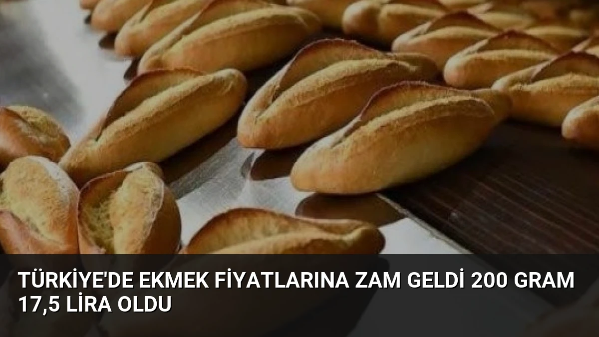 Türkiye’de Ekmek Fiyatlarına Zam Geldi 200 Gram 17,5 Lira Oldu