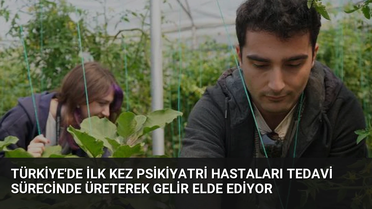 Türkiye’de İlk Kez Psikiyatri Hastaları Tedavi Sürecinde Üreterek Gelir Elde Ediyor
