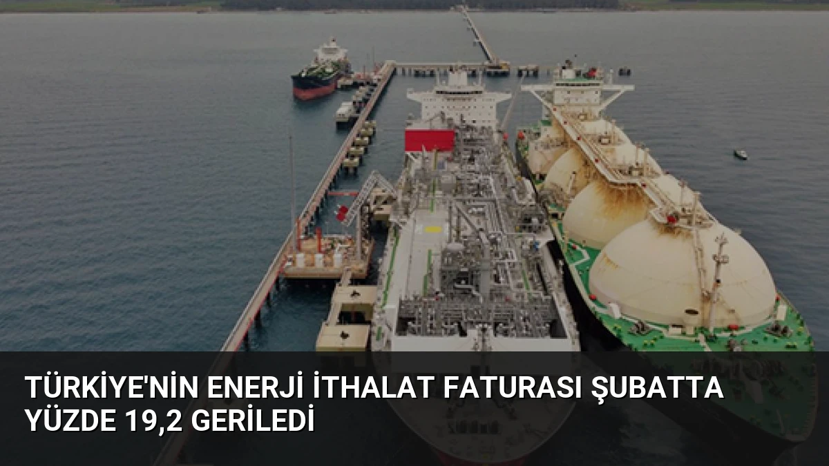 Türkiye’nin Enerji İthalat Faturası Şubatta Yüzde 19,2 Geriledi