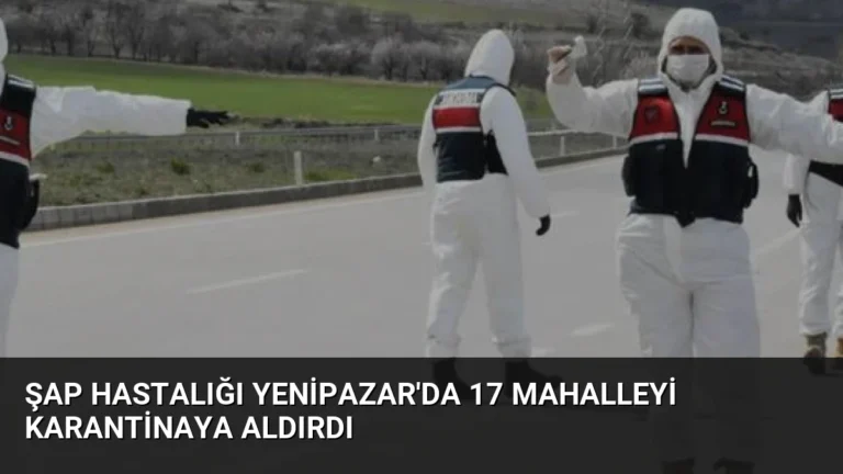 Şap Hastalığı Yenipazar’da 17 Mahalleyi Karantinaya Aldırdı