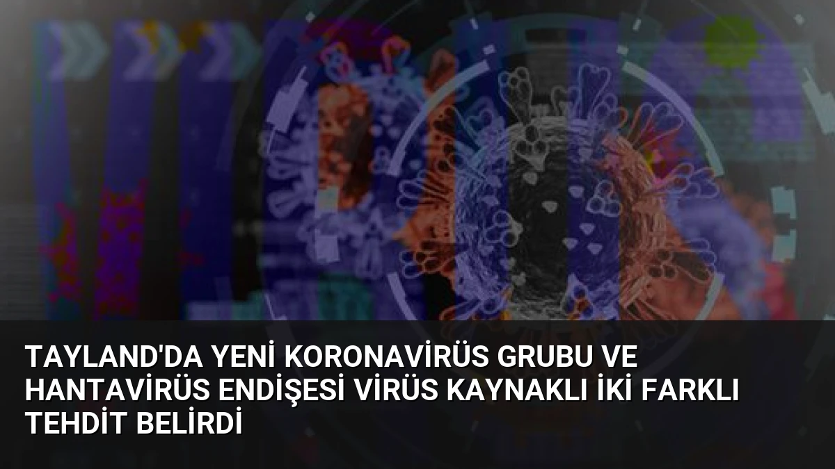 Tayland’da Yeni Koronavirüs Grubu ve Hantavirüs Endişesi Virüs Kaynaklı İki Farklı Tehdit Belirdi