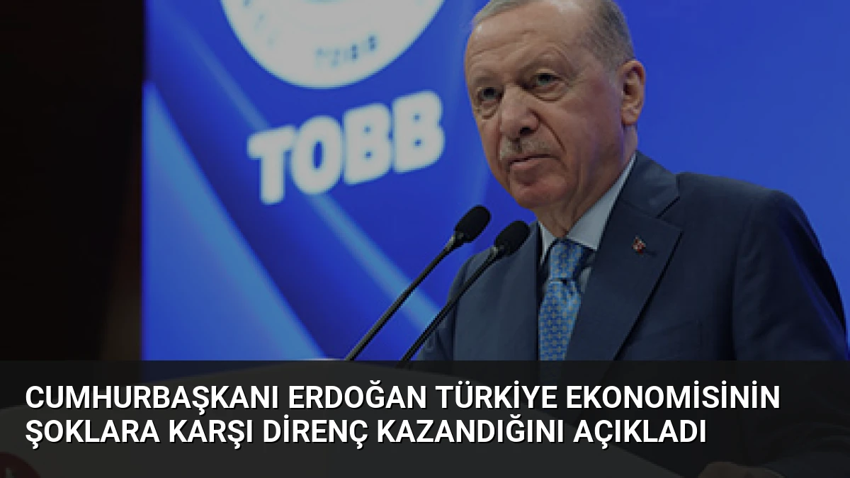 Cumhurbaşkanı Erdoğan Türkiye ekonomisinin şoklara karşı direnç kazandığını açıkladı