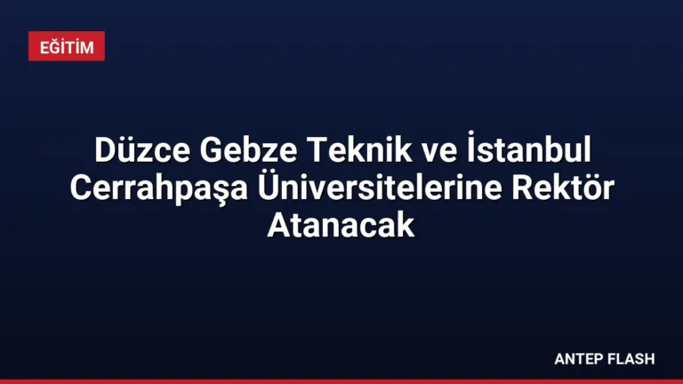 Düzce Gebze Teknik ve İstanbul Cerrahpaşa Üniversitelerine Rektör Atanacak
