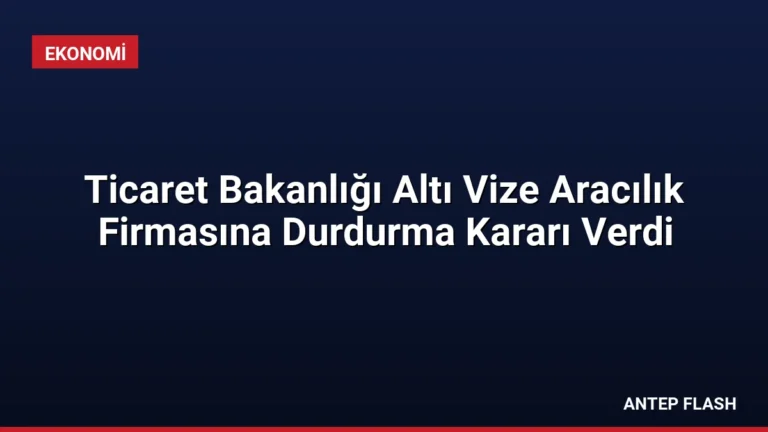 Ticaret Bakanlığı Altı Vize Aracılık Firmasına Durdurma Kararı Verdi