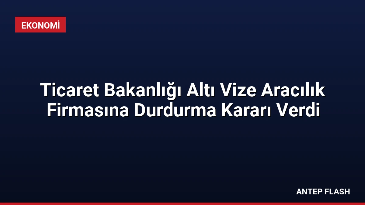 Ticaret Bakanlığı Altı Vize Aracılık Firmasına Durdurma Kararı Verdi