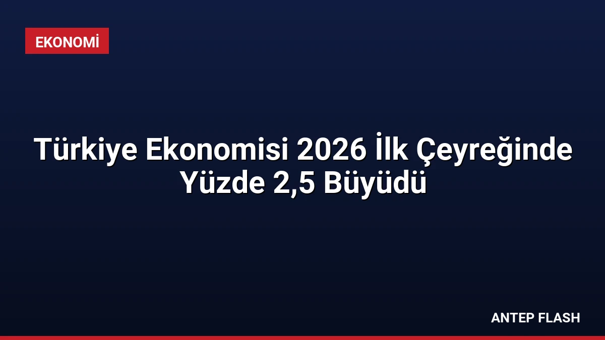 Türkiye Ekonomisi 2026 İlk Çeyreğinde Yüzde 2,5 Büyüdü