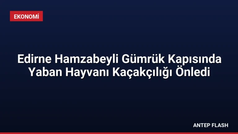 Edirne Hamzabeyli Gümrük Kapısında Yaban Hayvanı Kaçakçılığı Önledi