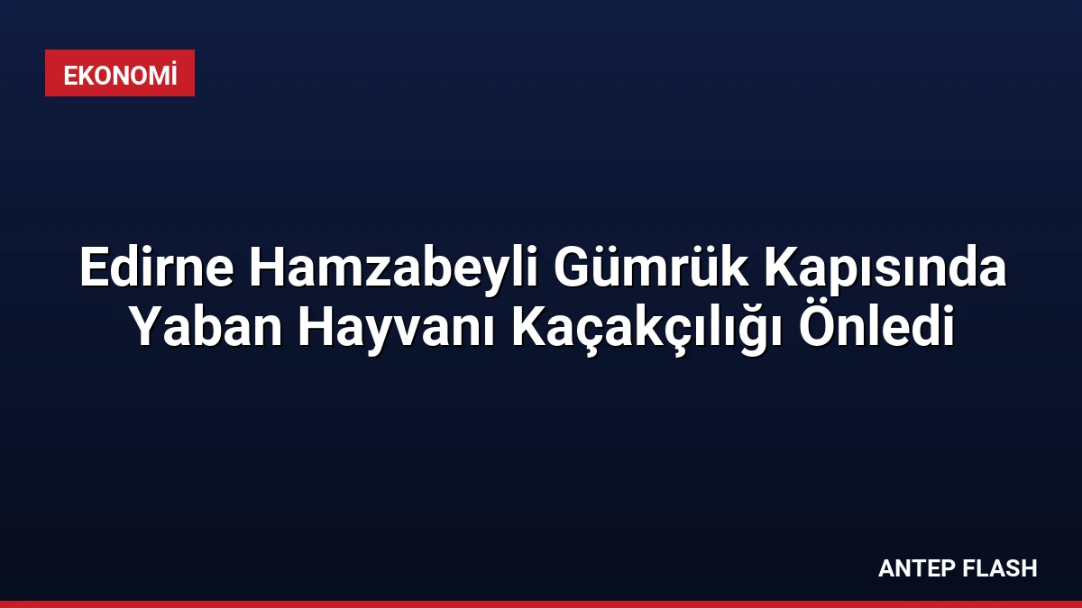 Edirne Hamzabeyli Gümrük Kapısında Yaban Hayvanı Kaçakçılığı Önledi