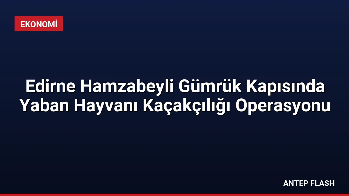 Edirne Hamzabeyli Gümrük Kapısında Yaban Hayvanı Kaçakçılığı Operasyonu