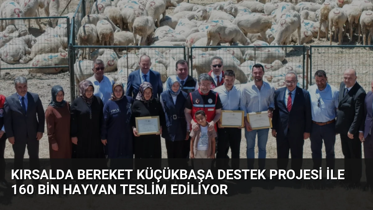Kırsalda Bereket Küçükbaşa Destek Projesi ile 160 bin hayvan teslim ediliyor
