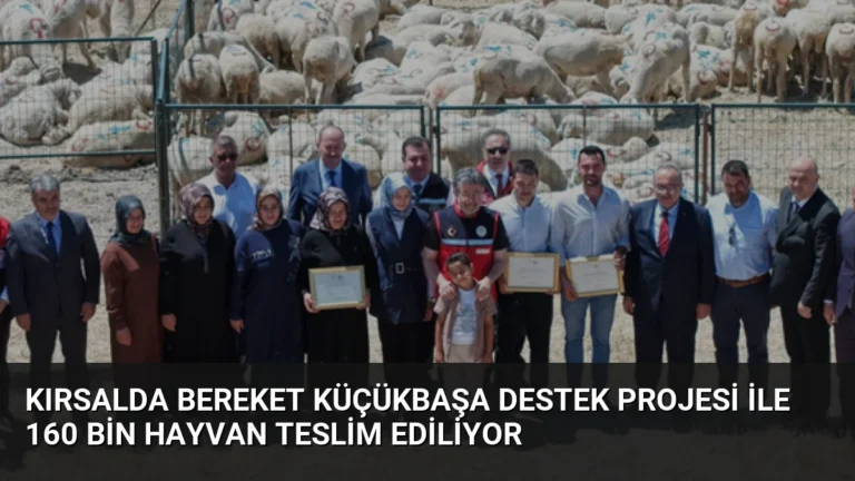 Kırsalda Bereket Küçükbaşa Destek Projesi ile 160 bin hayvan teslim ediliyor