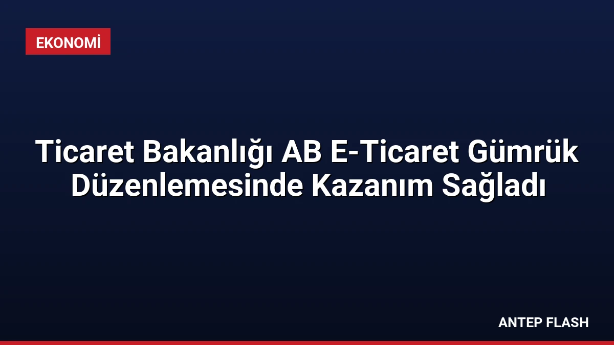 Ticaret Bakanlığı AB E-Ticaret Gümrük Düzenlemesinde Kazanım Sağladı