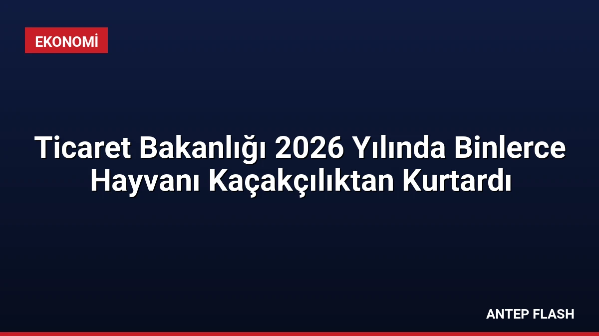 Ticaret Bakanlığı 2026 Yılında Binlerce Hayvanı Kaçakçılıktan Kurtardı
