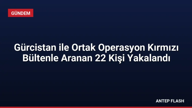 Gürcistan ile Ortak Operasyon Kırmızı Bültenle Aranan 22 Kişi Yakalandı