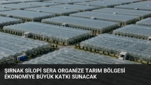 Şırnak Silopi Sera Organize Tarım Bölgesi Ekonomiye Büyük Katkı Sunacak