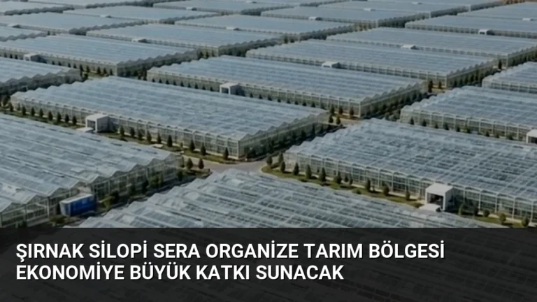 Şırnak Silopi Sera Organize Tarım Bölgesi Ekonomiye Büyük Katkı Sunacak