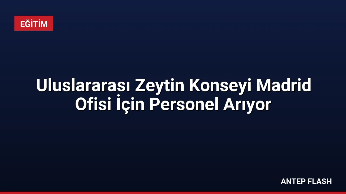 Uluslararası Zeytin Konseyi Madrid Ofisi İçin Personel Arıyor
