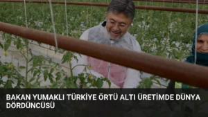 Bakan Yumaklı Türkiye Örtü Altı Üretimde Dünya Dördüncüsü