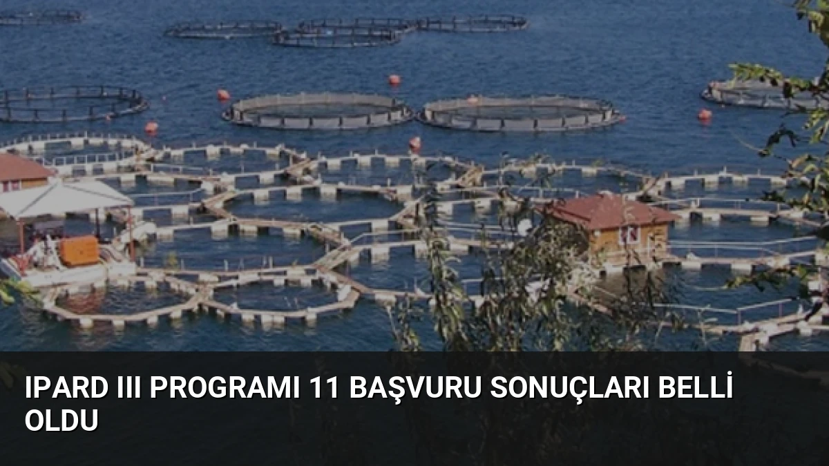 IPARD III Programı 11 Başvuru Sonuçları Belli Oldu