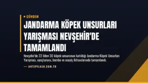 Jandarma Köpek Unsurları Yarışması Nevşehir'de Tamamlandı