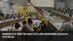 Narenciye Üretim Maliyetleri Mersinde Masaya Yatırıldı