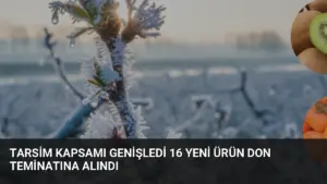 TARSİM Kapsamı Genişledi 16 Yeni Ürün Don Teminatına Alındı